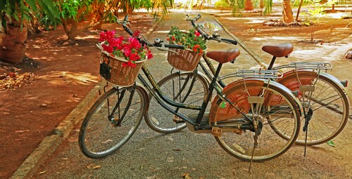 Heina Nature Resort & Yala Safari