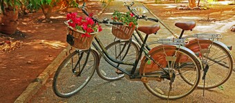 Heina Nature Resort & Yala Safari