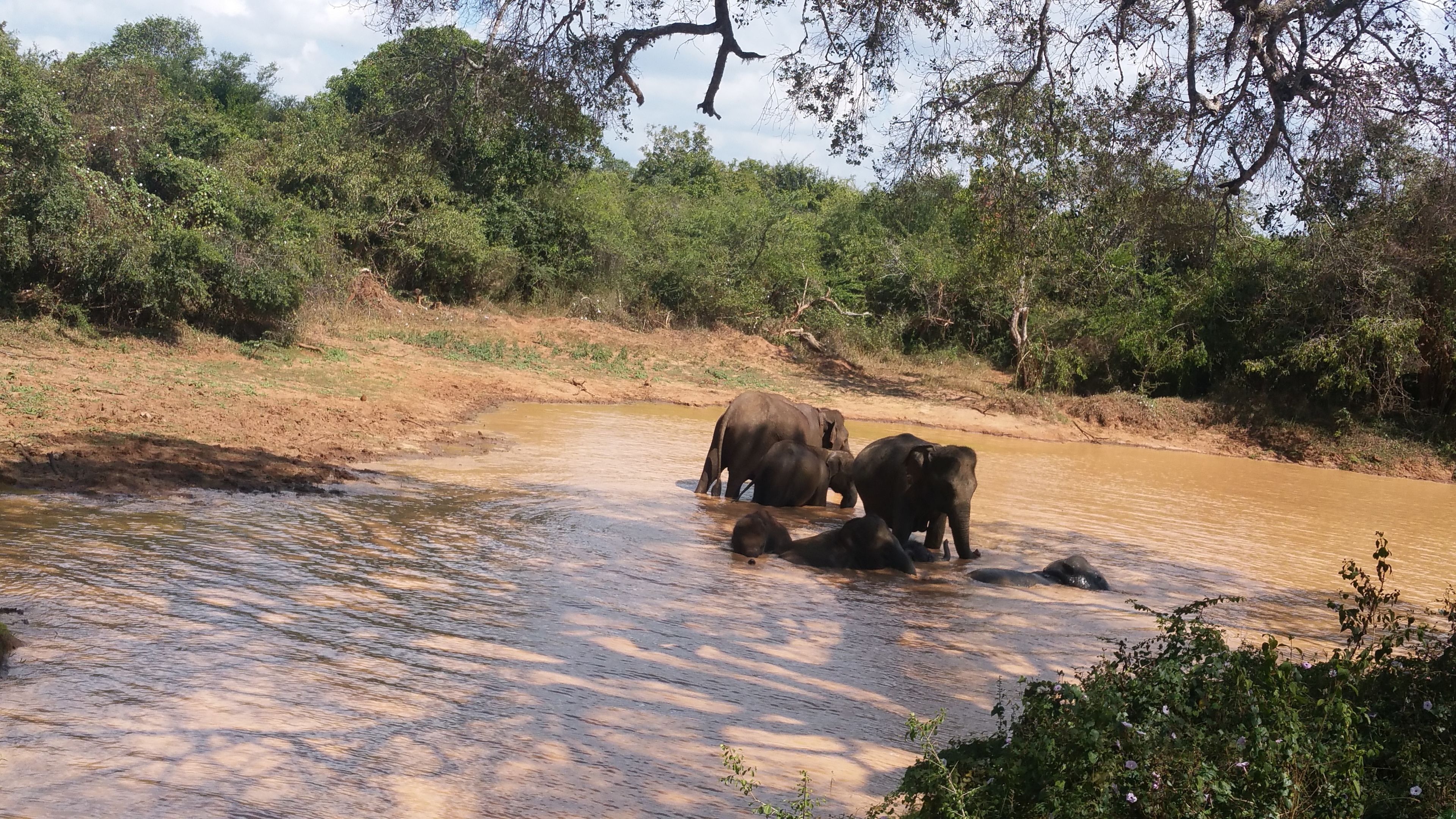Foto - Heina Nature Villa Colombo