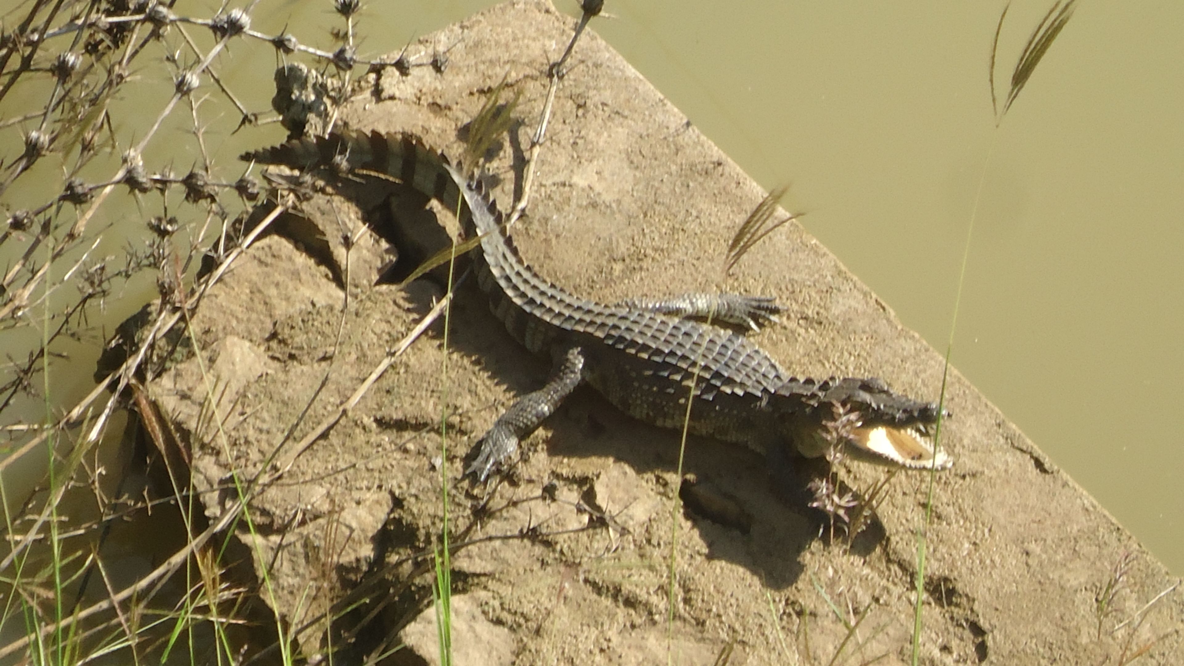 Foto - Heina Nature Villa Colombo