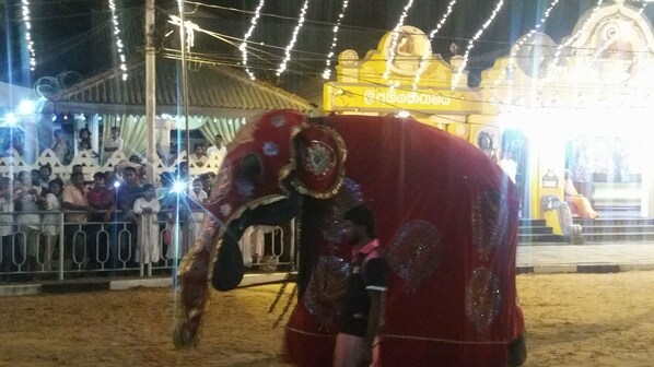 Una persona vestida de rojo con una gran pieza en la cabeza, posiblemente actuando en un evento.