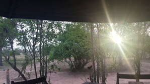 Free daily local cuisine breakfast  - Elephant Lake Yala (Thissamaharama)