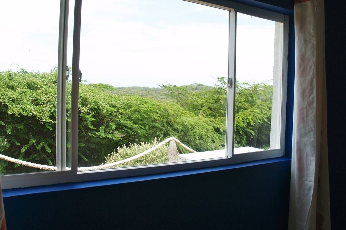 Comfort Studio, 1 Queen Bed | View from room