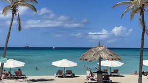 Una playa con palmeras, sombrillas y sillas de descanso.