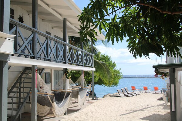Coral Reef Beach Aruba - Aruba