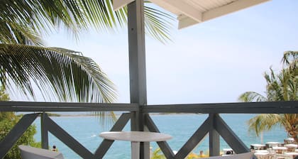 Coral Reef Beach Aruba