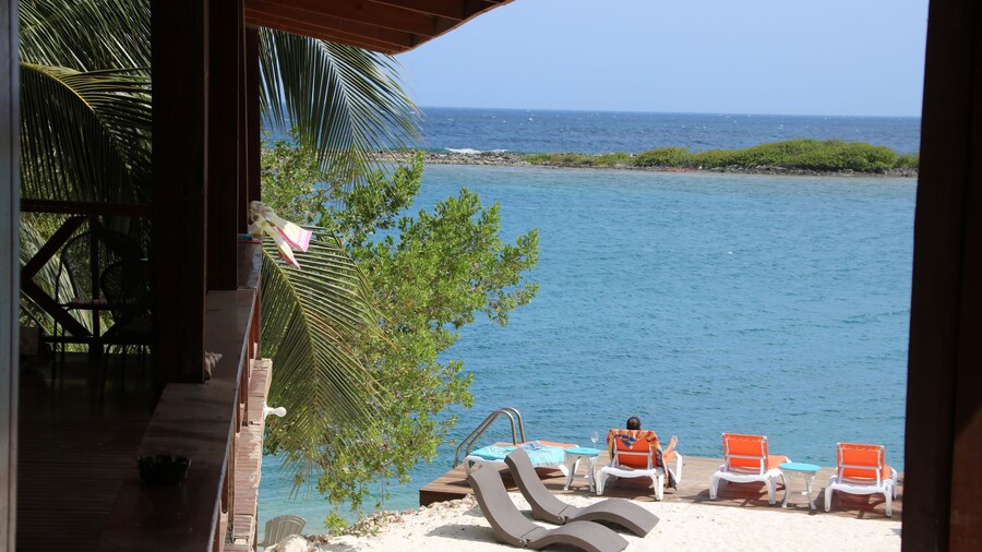 Coral Reef Beach Aruba