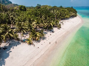 A beach with palm trees and clear turquoise water. - Munjoh Ocean Resort (Havelock Island)