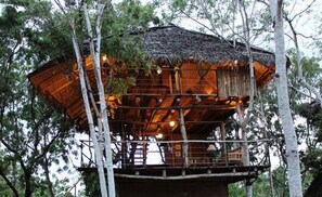 Tree House Suite | Exterior