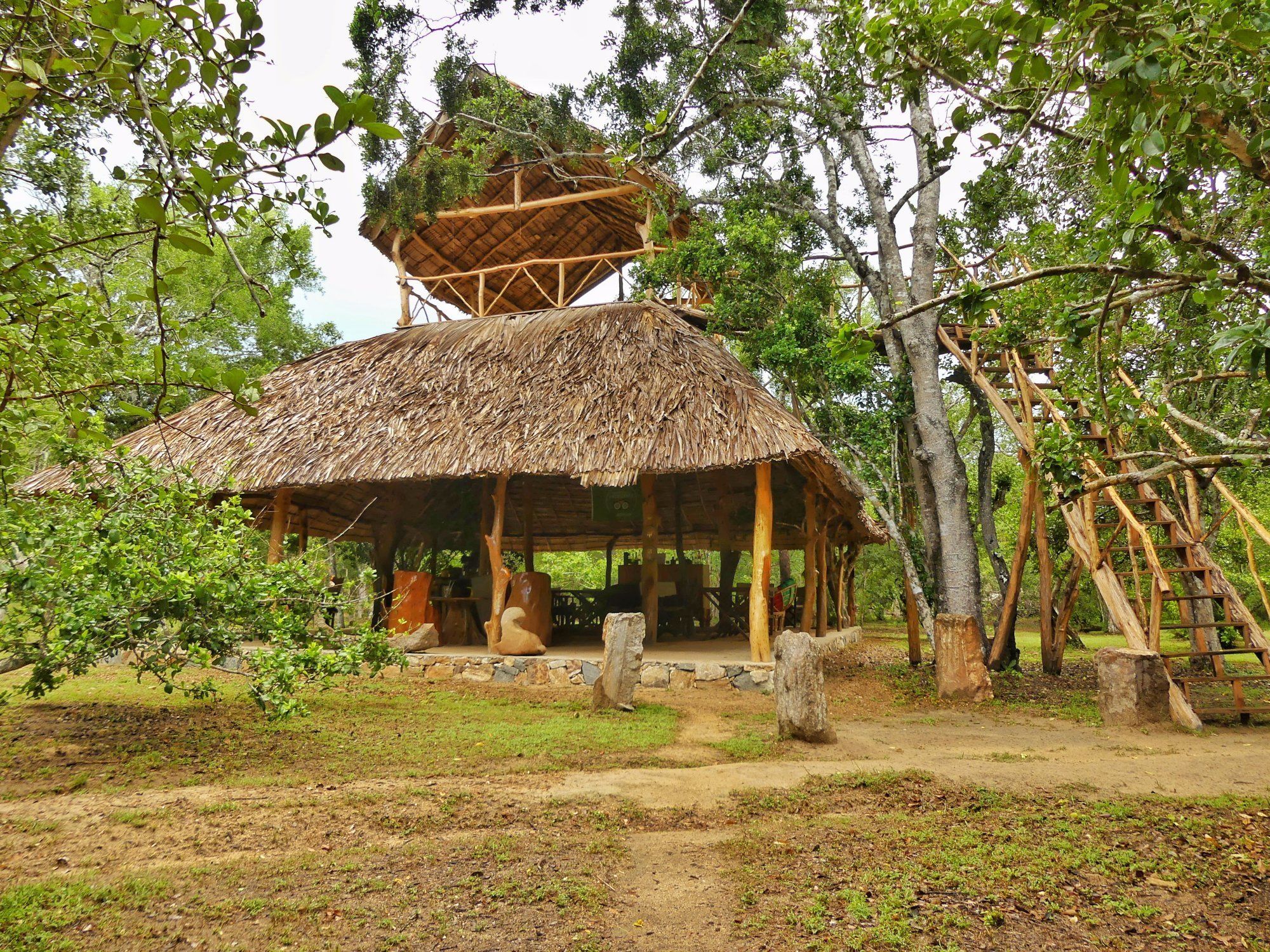 A rustic wooden structure with a thatched roof, surrounded by trees and a dirt path.