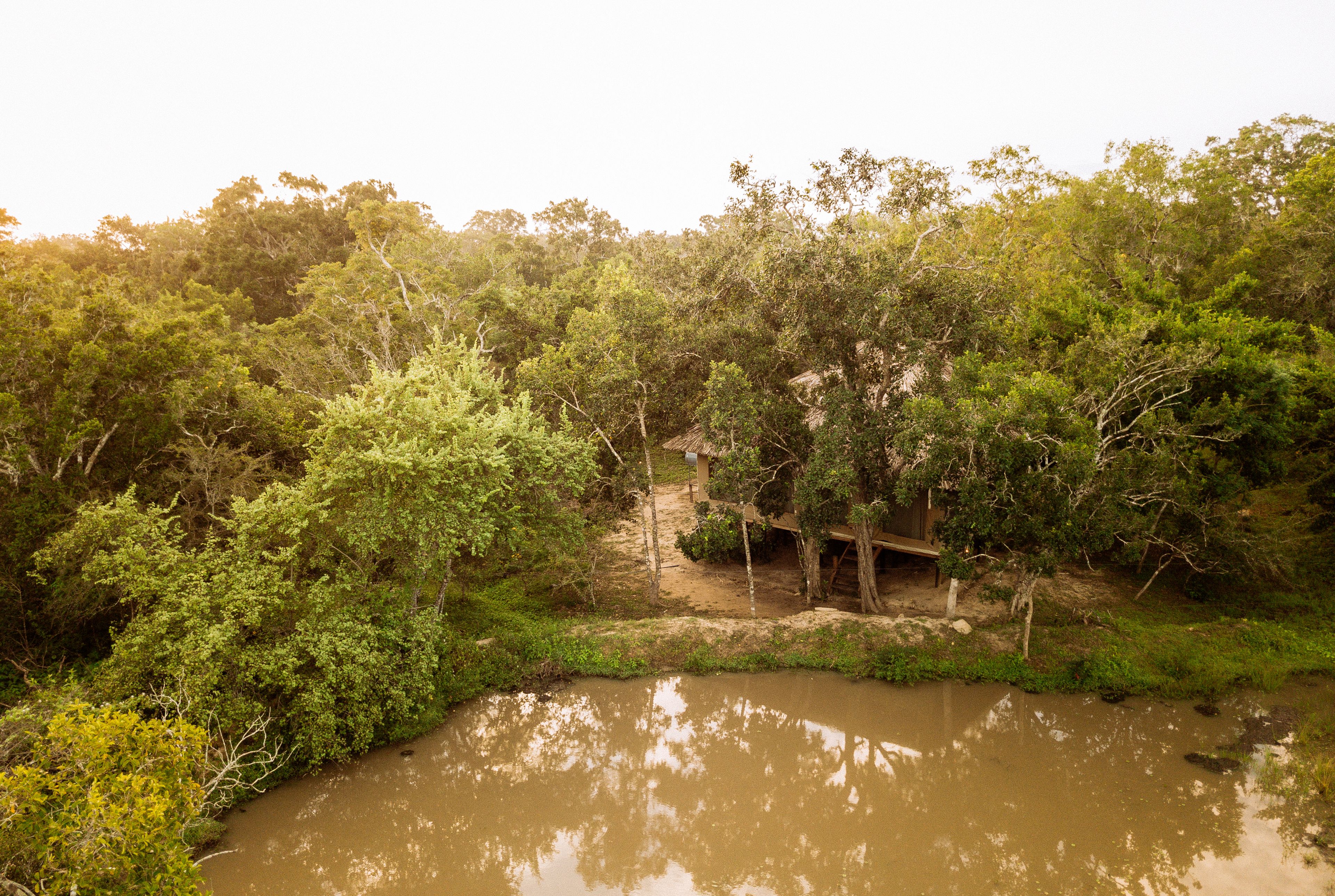 Een natuurlijk landschap met een rivier, weelderige begroeiing en een houten constructie.