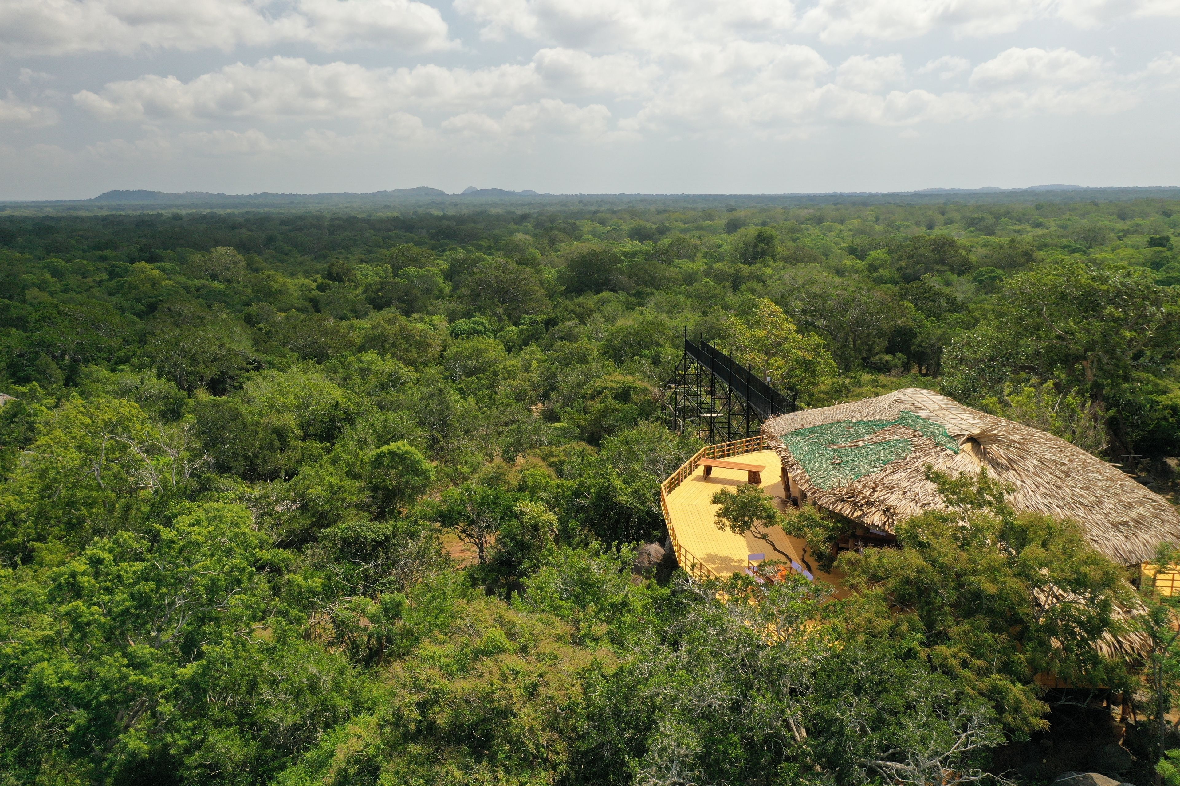 Cocina internacional 