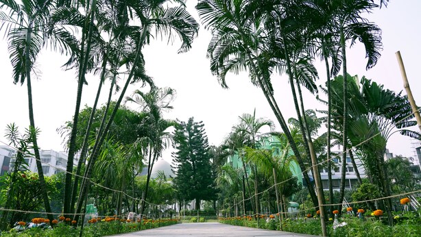 A pathway lined with tall palm trees and orange flowers, leading towards a building with a dome structure. - Asia Pacific Hotel (Dhaka)