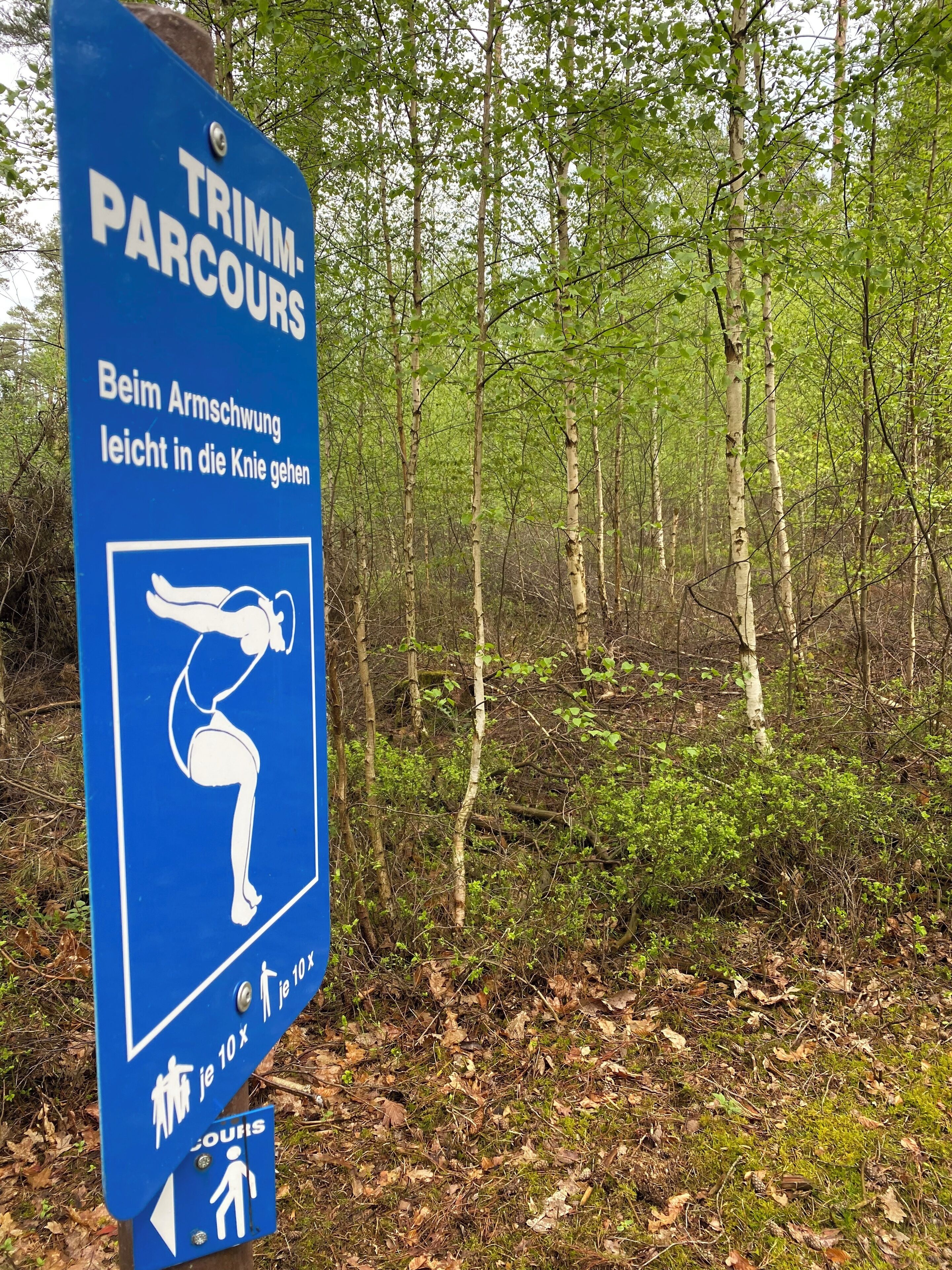A blue sign with white text and symbols indicating a hiking trail, surrounded by a forest.