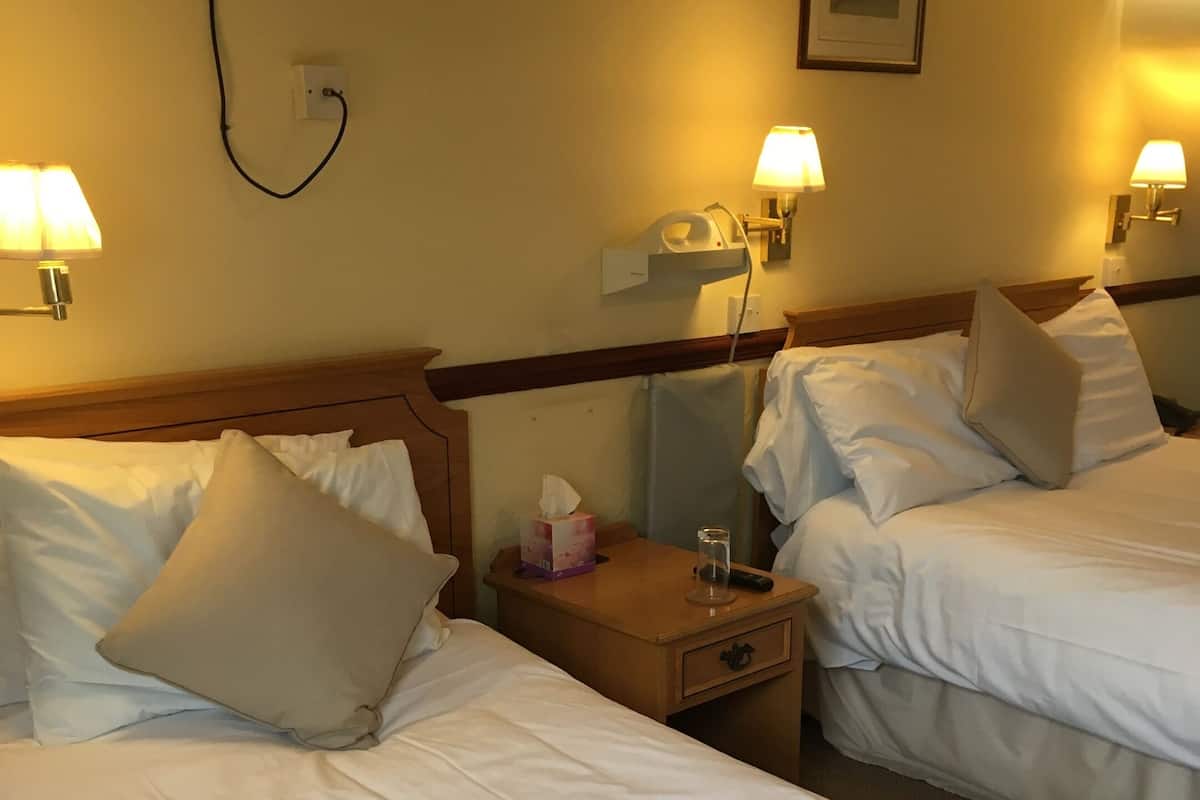 Habitación de hotel con dos camas individuales, cada una con una almohada y una mesita de noche con una lámpara y una caja de pañuelos.
