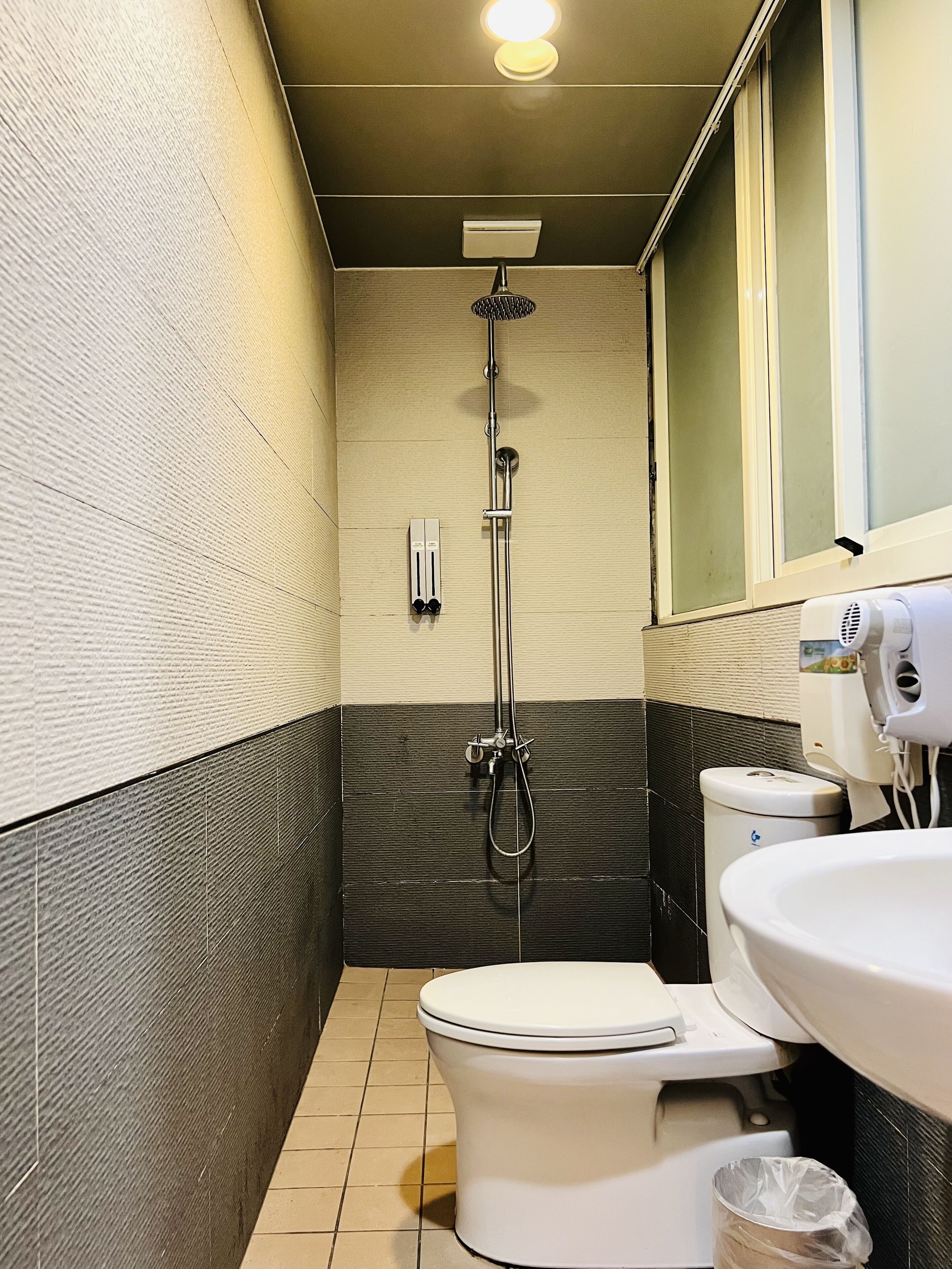 A bathroom with a toilet, a shower, a sink, and a mirror.