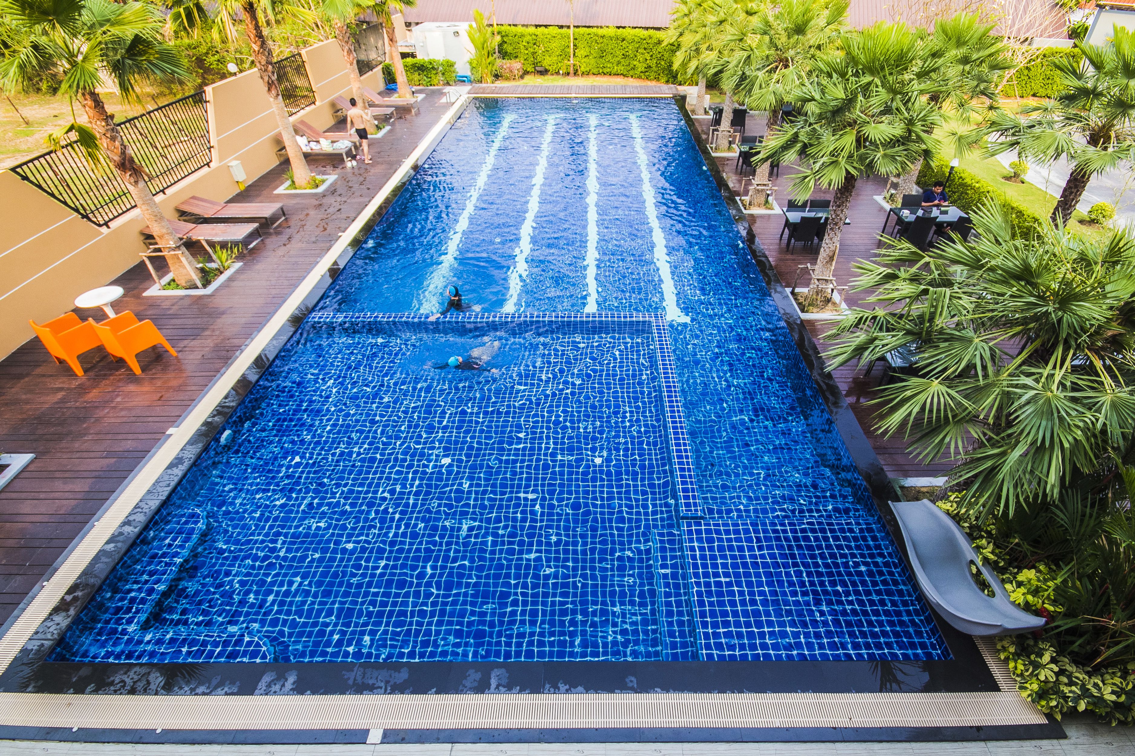 Una piscina rectangular con un borde de baldosas, rodeada de palmeras y zonas de estar al aire libre.
