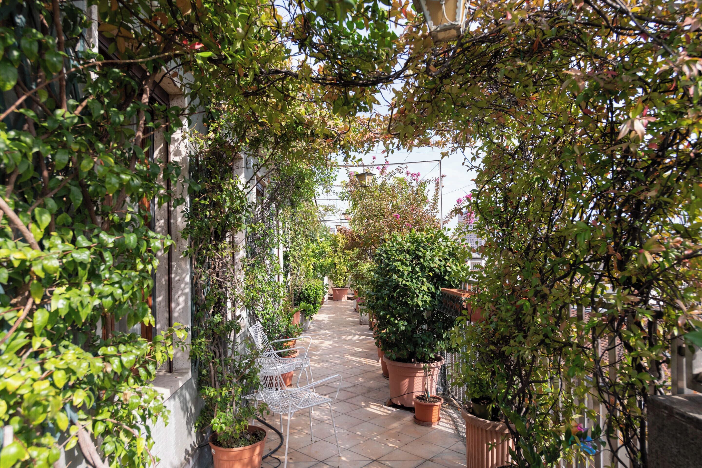 Terraza o patio