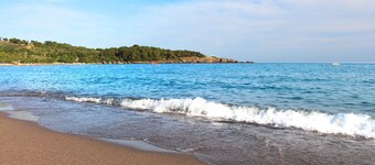 Gardenia Beach Hotel - All Inclusive