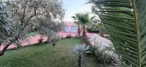 Superior-Zimmer, Gartenblick | Blick auf den Garten