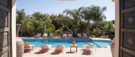 Outdoor pool, sun loungers