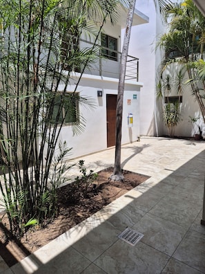 A courtyard with a palm tree, a small plant, and a tiled floor. - Hotel Lorimar (La Paz)