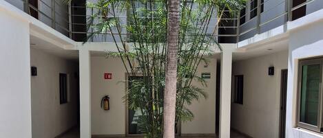Amplio espacio interior con una palmera en el centro, piso de baldosas y varias puertas que dan a diferentes estancias.