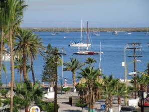 Ein Yachthafen mit Booten, Palmen und blauem Himmel.
