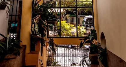 Hotel Cacts