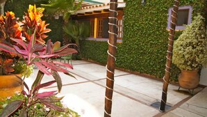 Une cour avec des plantes en pot, une clôture en bois et un bâtiment doté d’un mur végétal.