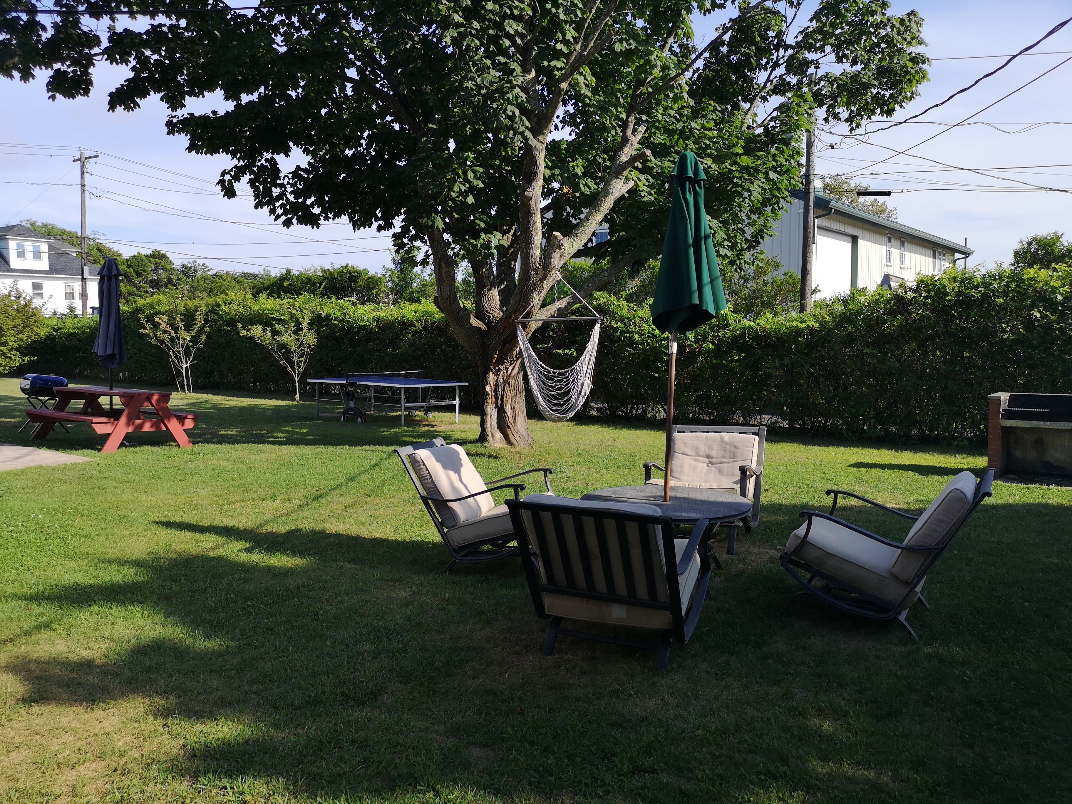 A backyard with a picnic table, lounge chairs, a hammock, and a table tennis table.