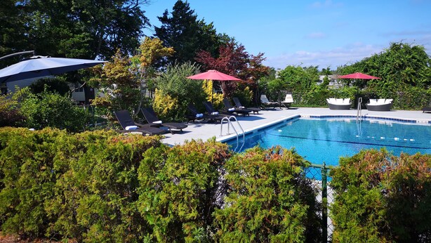 A pool area with lounge chairs and umbrellas, surrounded by trees and greenery. - Baywatch Hotel & Marina (Hampton Bays)