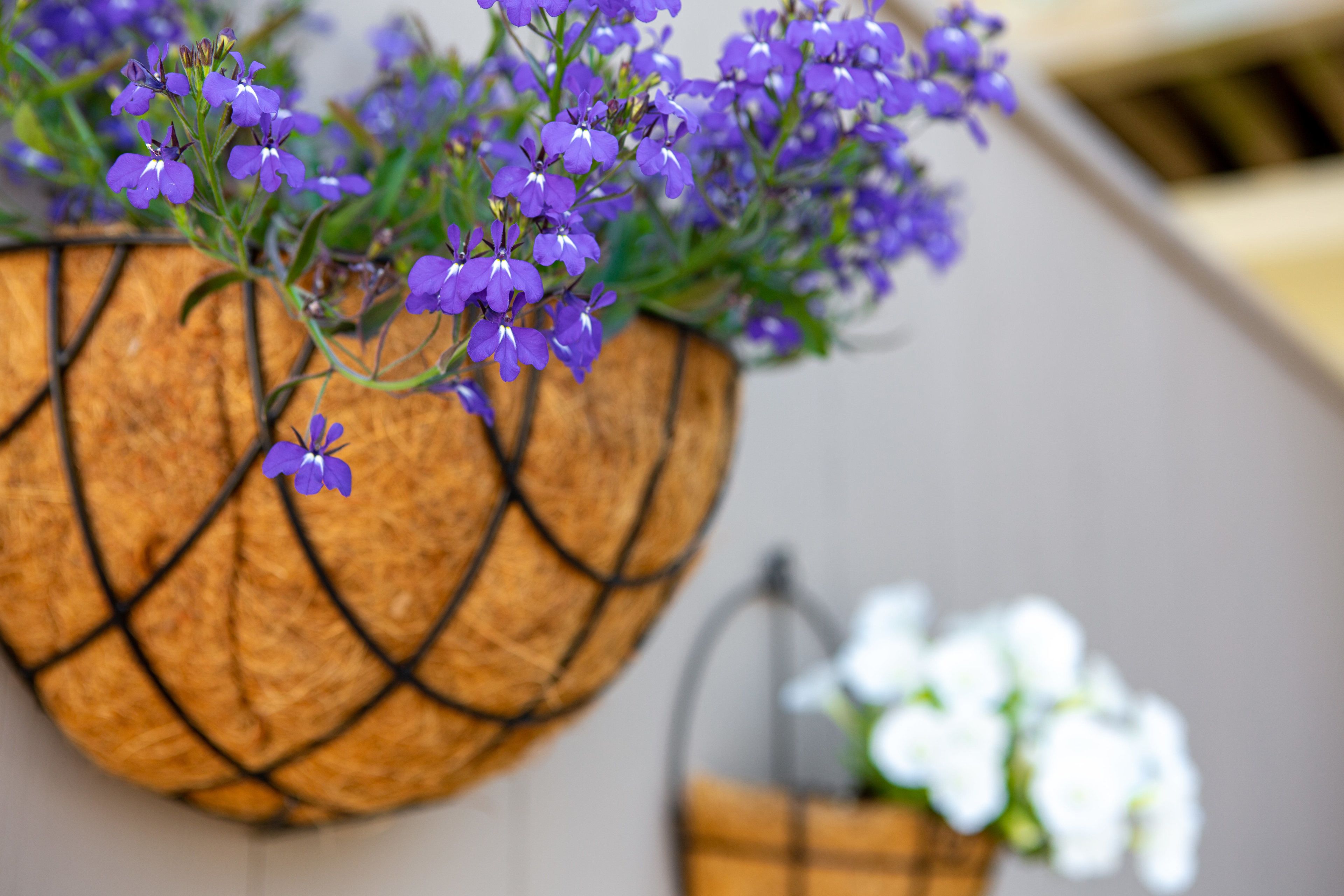 A wall-mounted planter with purple flowers and a white flower arrangement.