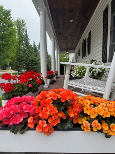 Williston Village Inn