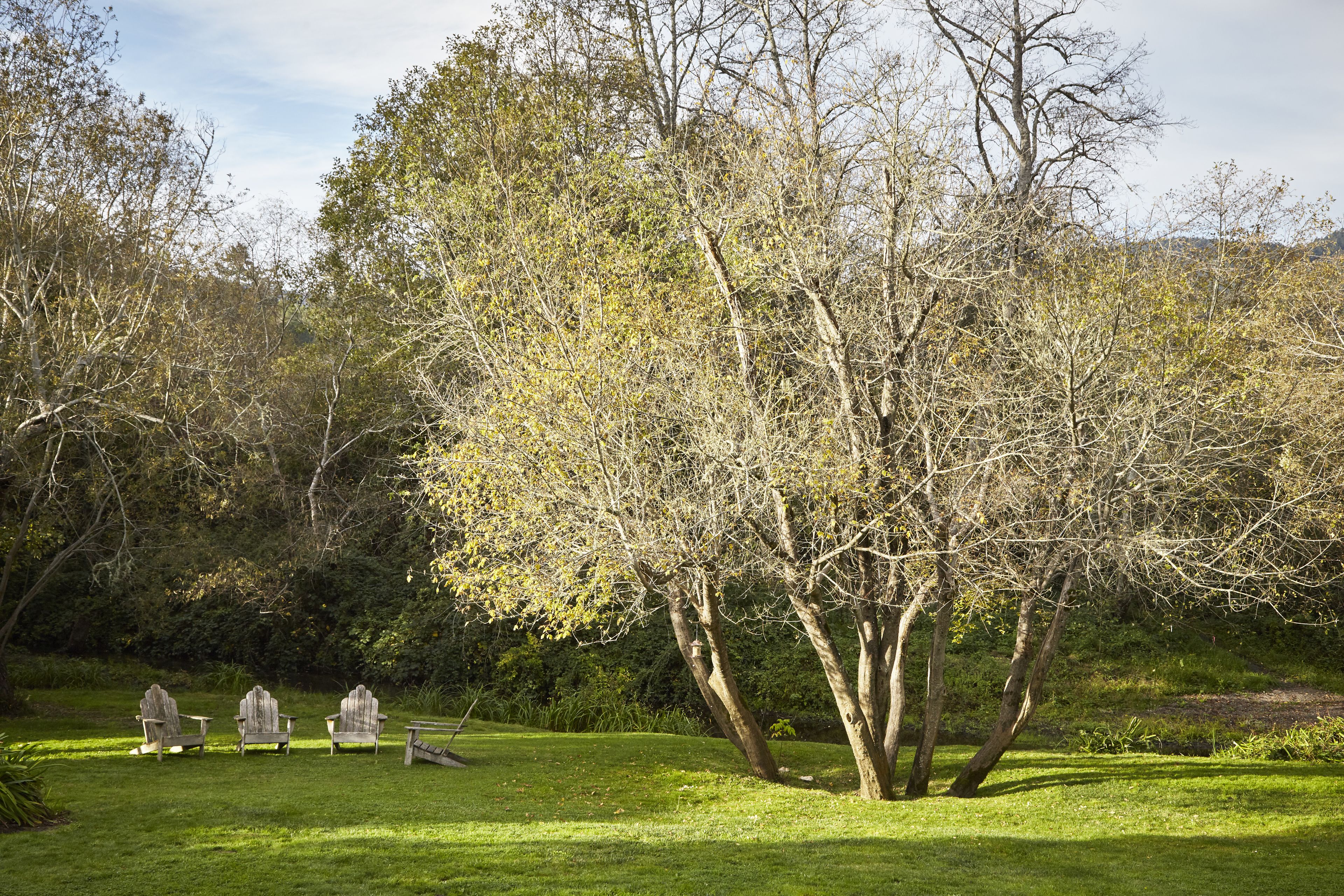 Un área verde con tres sillas de madera tipo Adirondack y una mesa pequeña, rodeada de árboles y una colina al fondo.