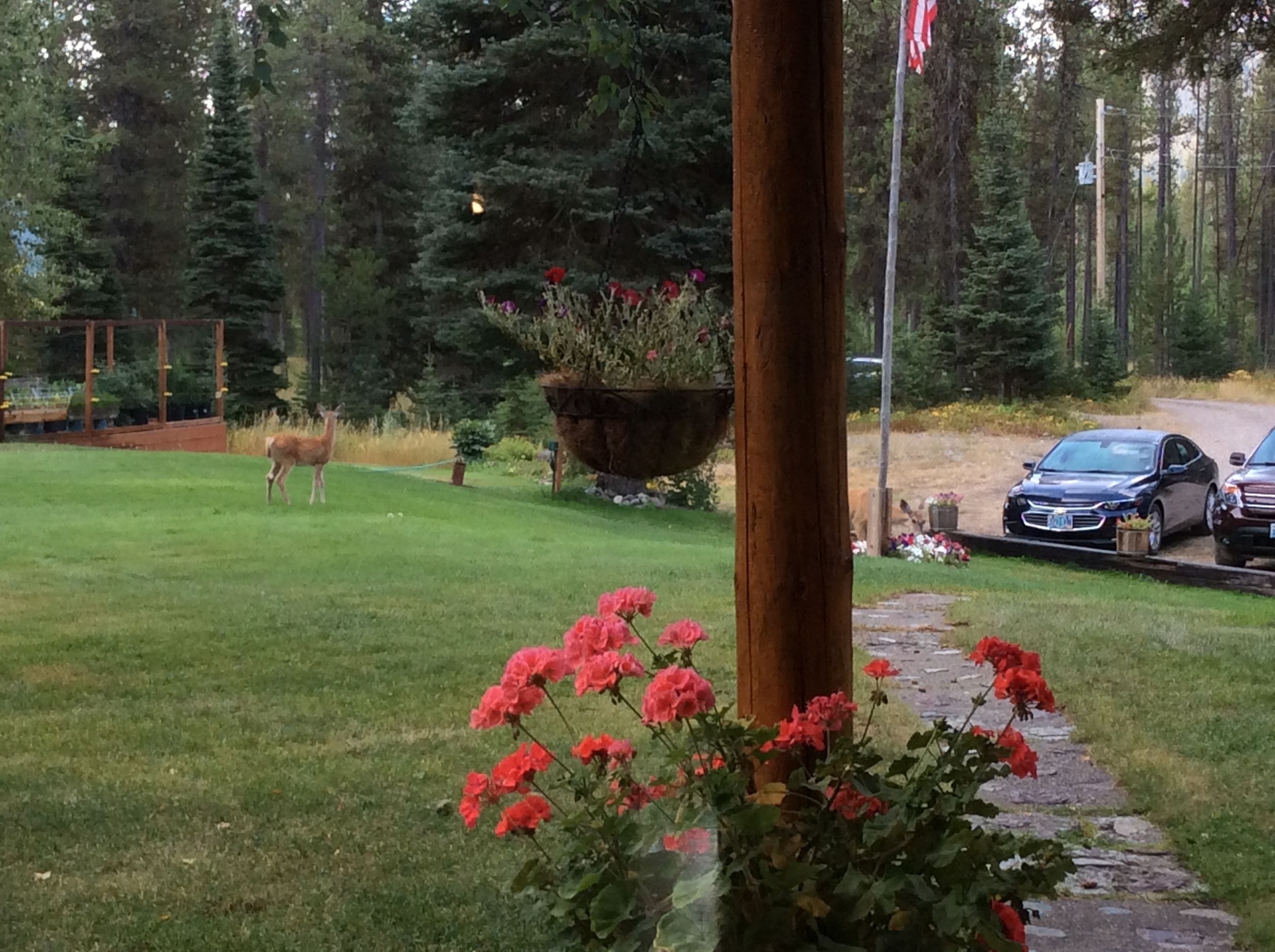 Estacionamiento gratis 