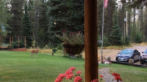 A deer in a grassy yard with a wooden fence, a hanging flower pot, and a paved path leading to parked cars. - Smoky Bear Ranch Bed & Breakfast & Cabins (Columbia Falls)