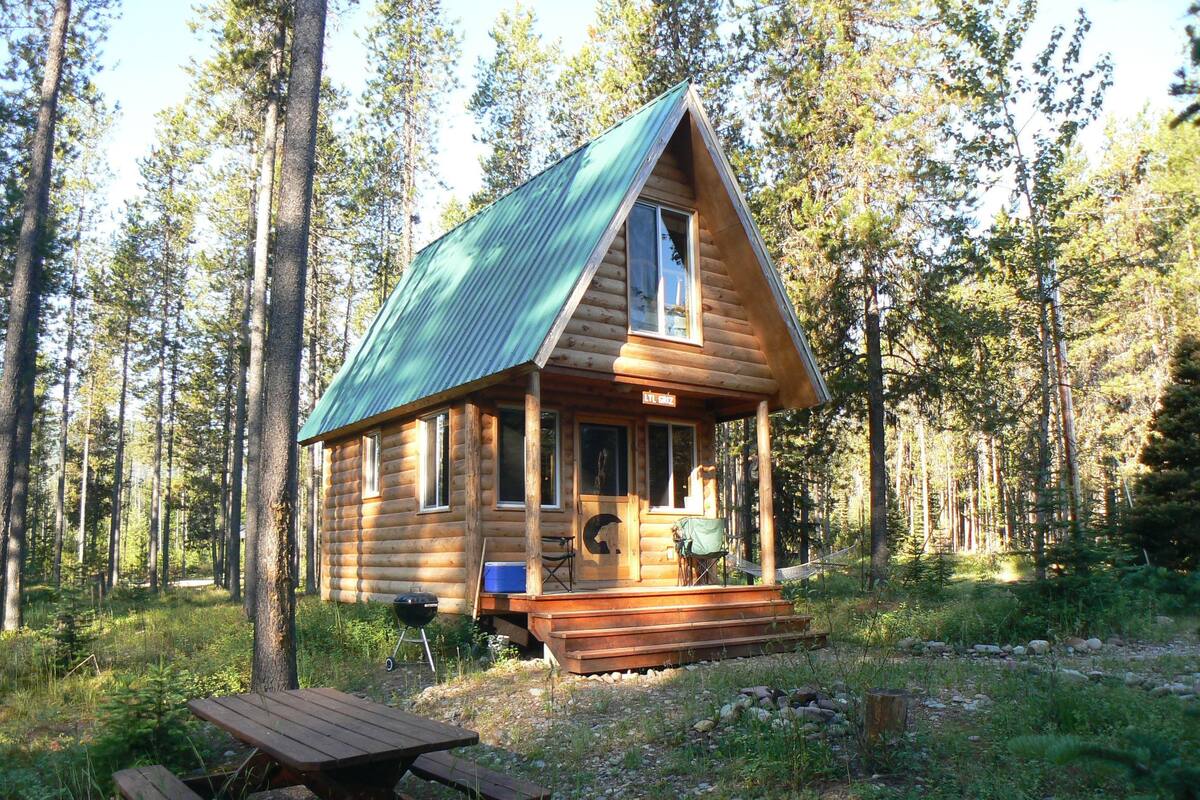 A log cabin with a porch, a picnic table, and a grill.