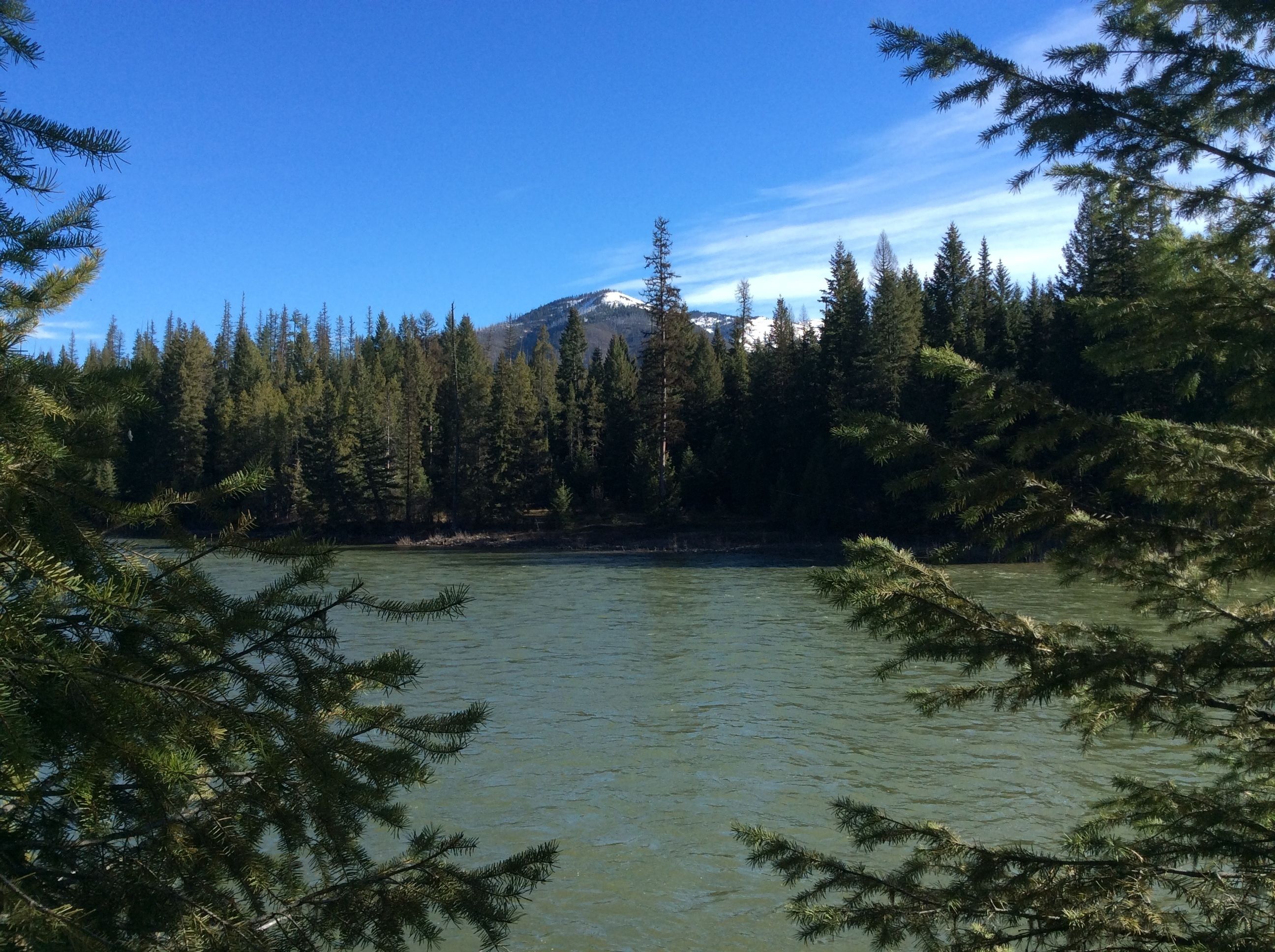 A river surrounded by dense forest and a mountain in the background.