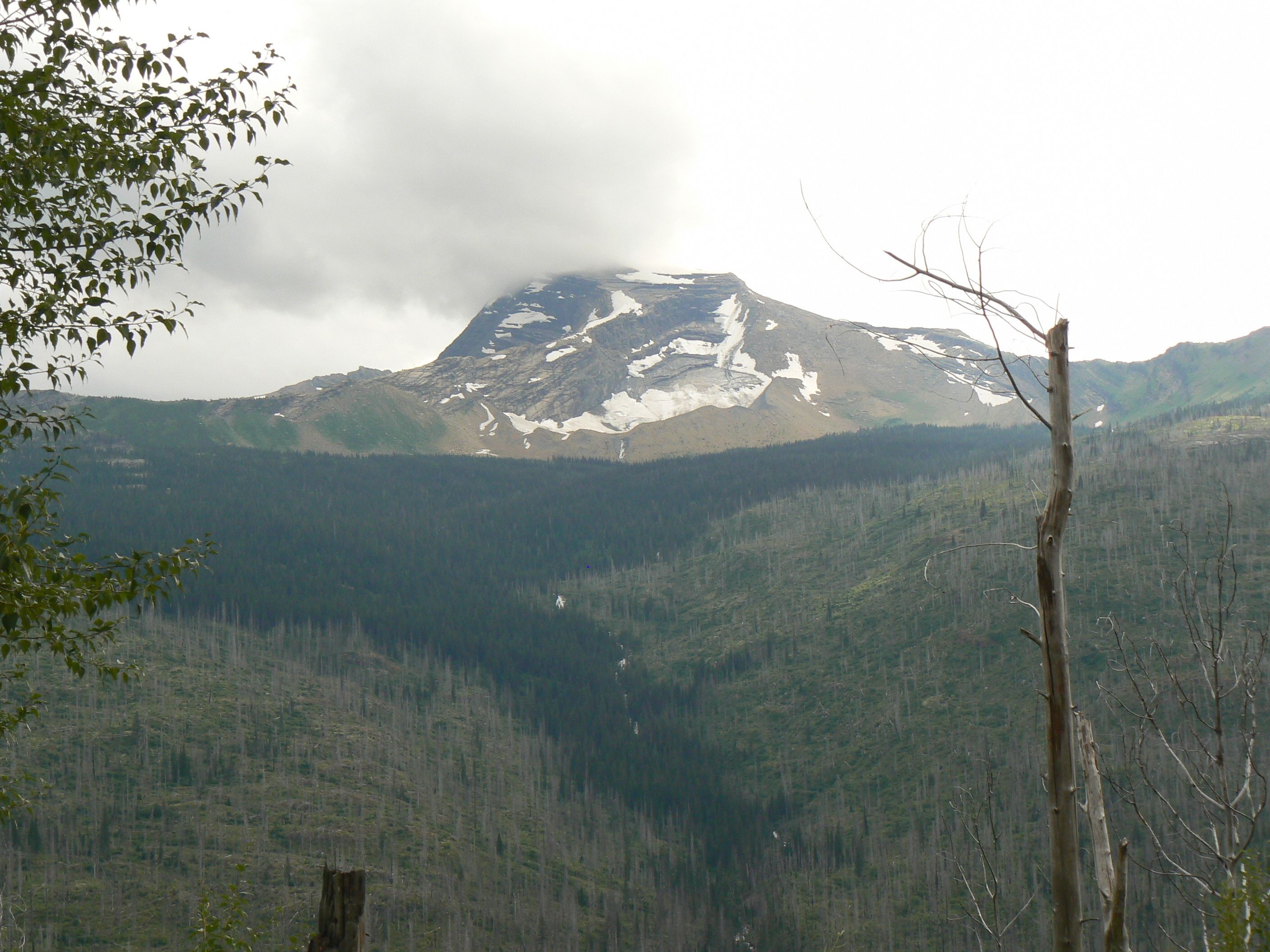 A mountain with snow patches, dense forest, and a cloudy sky.