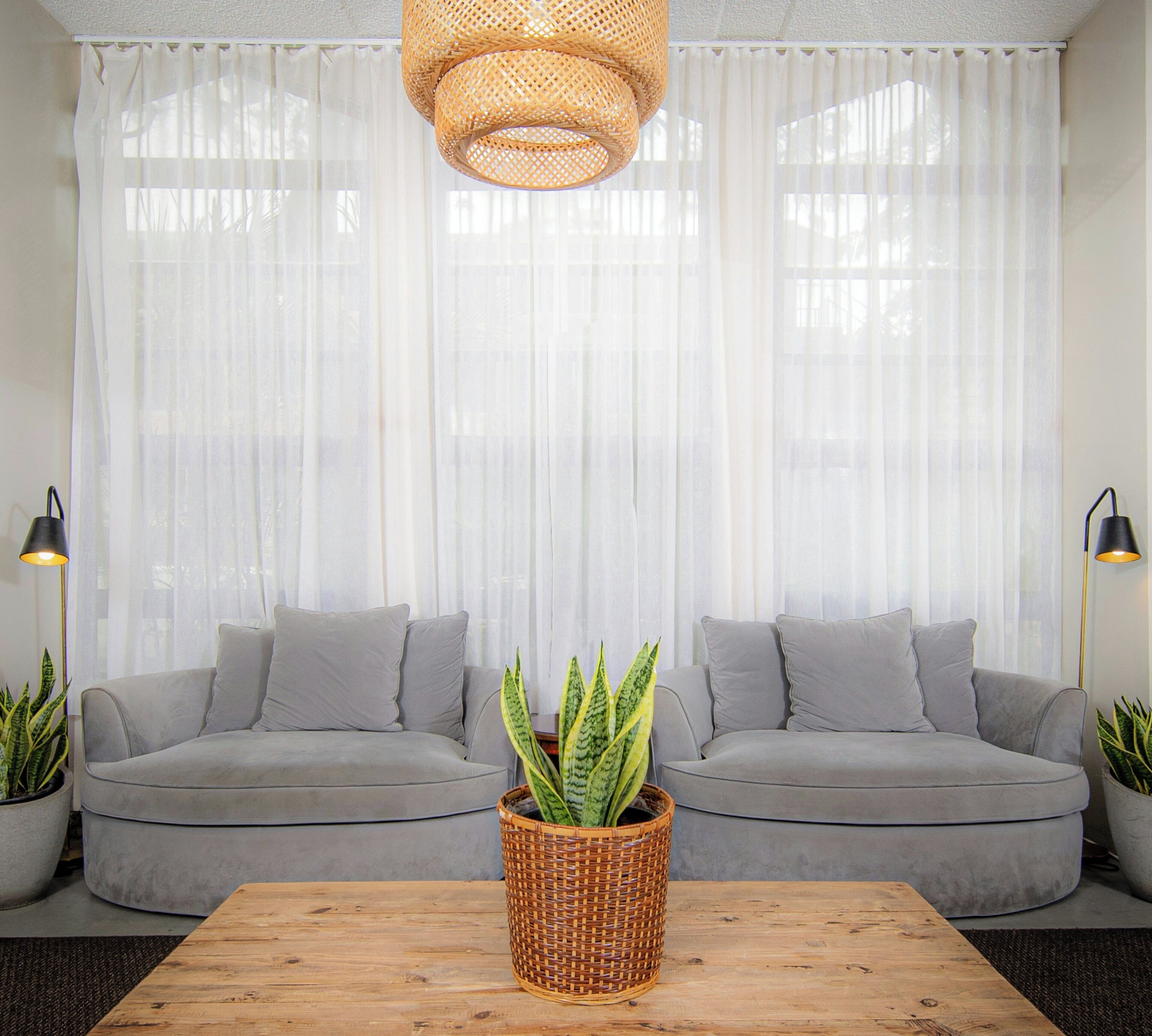 A living room with a grey sofa, a wooden coffee table, and a potted plant.