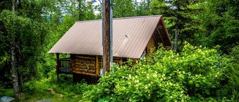 A rustic cabin with a sloped roof, surrounded by dense greenery and trees.