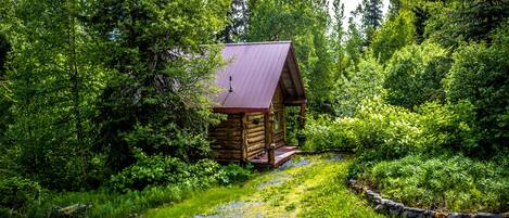 A rustic cabin with a metal roof, surrounded by dense forest.
