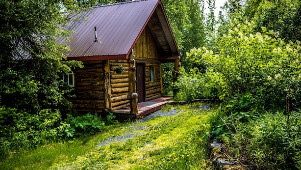 Un chalet rustique en rondins de bois, surmonté d’un toit en métal, entouré d’une végétation luxuriante et accessible par un sentier de pierres menant à l’entrée.