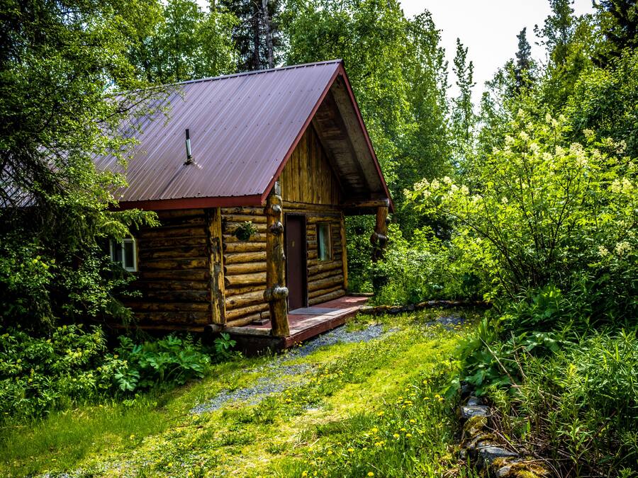 Cabane, vue montagne, côté montagne (#1 Chinook) | Lits pliants/supplémentaires, Wi-Fi gratuit, draps fournis