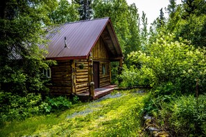 A rustic log cabin with a metal roof, surrounded by lush greenery and a stone pathway leading to the entrance.