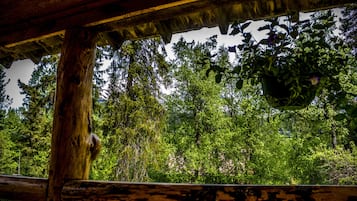 Cabin, Mountain View, Mountainside (#5 Sockeye) | View from property