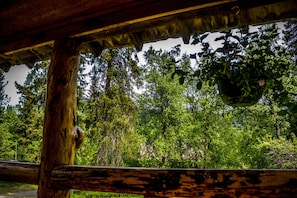 Cabin, Mountain View, Mountainside (#5 Sockeye) | View from property