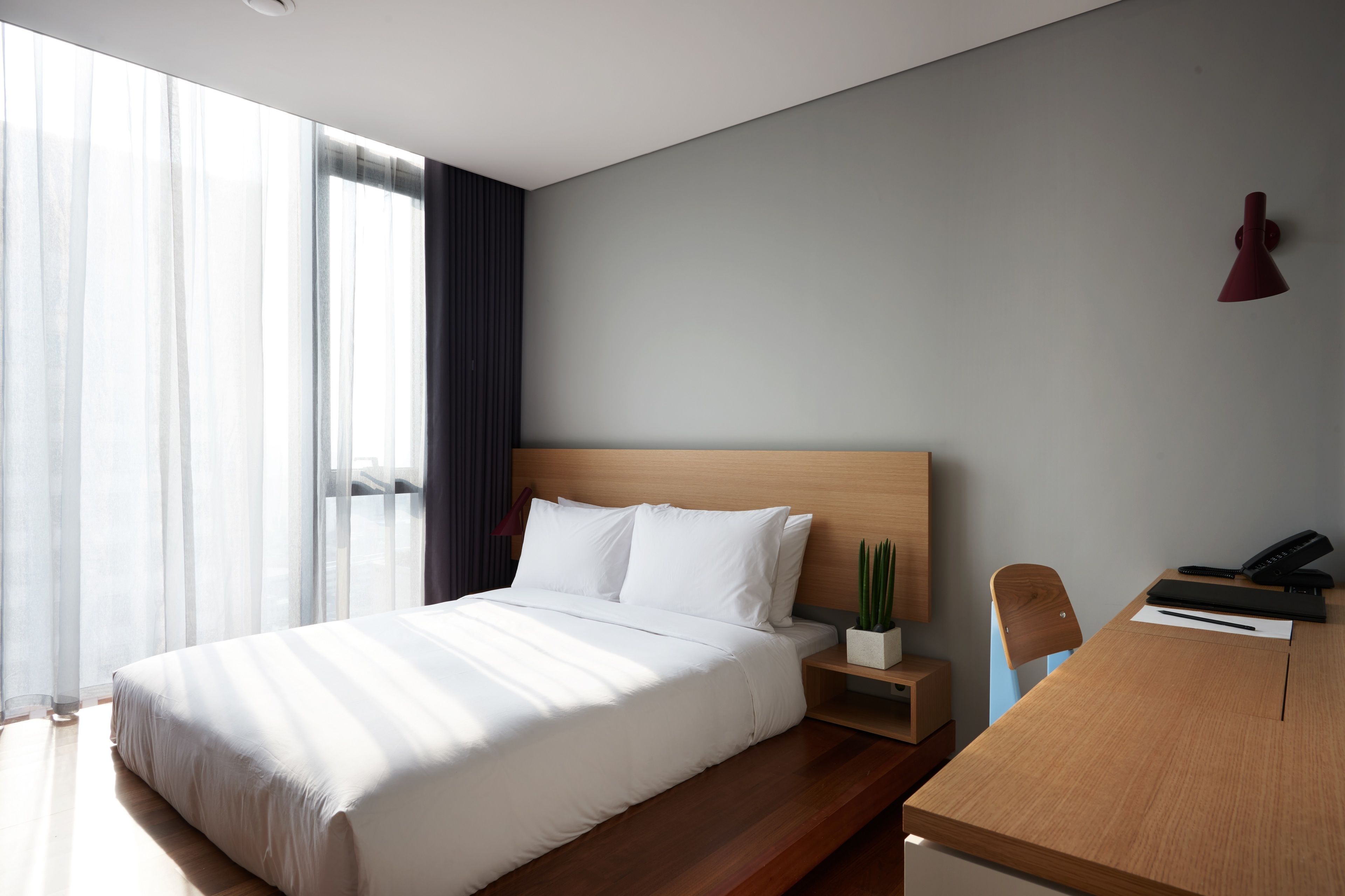 Foto - Hotel Peyto Gangnam