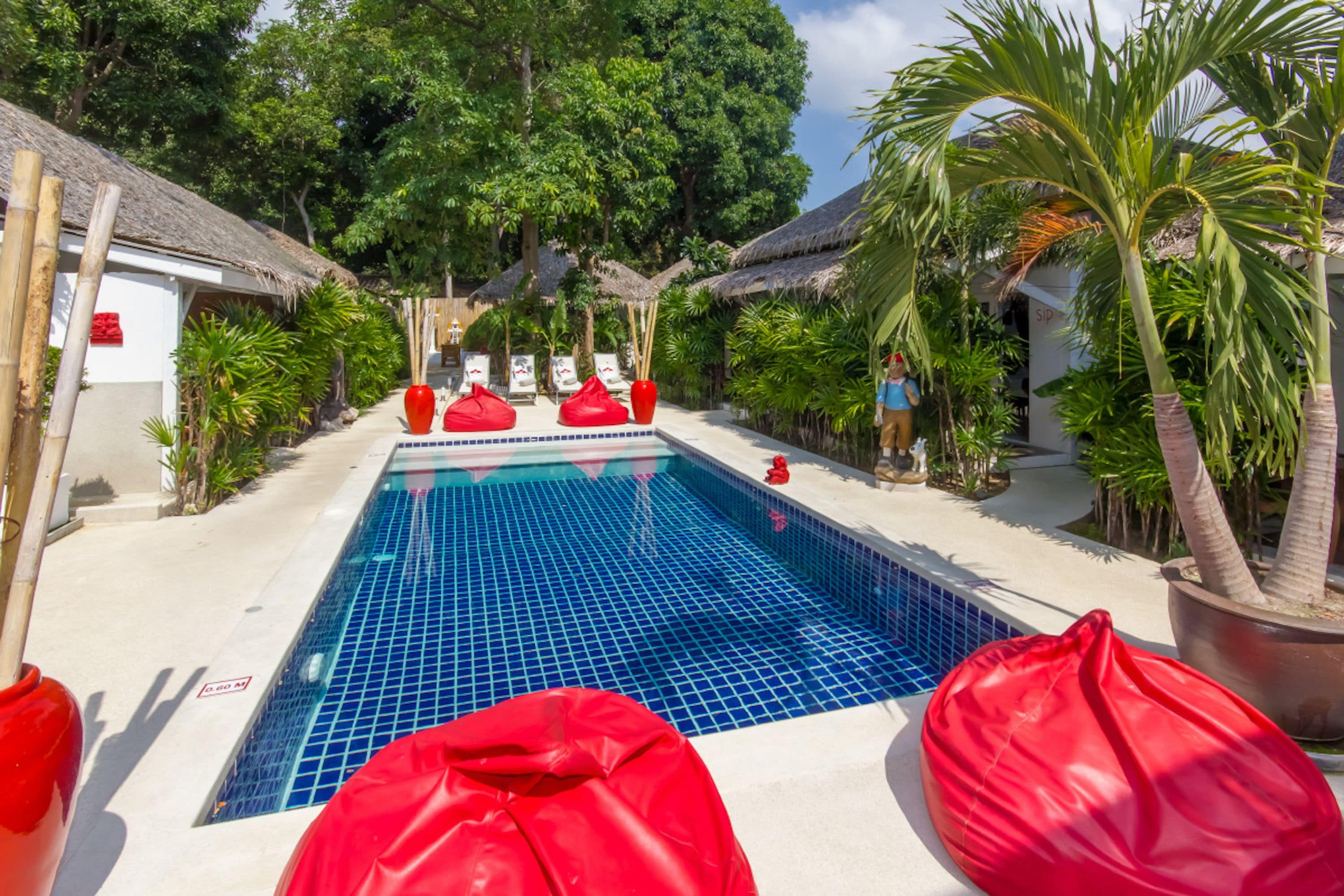 outdoor pool, pool umbrellas, pool loungers